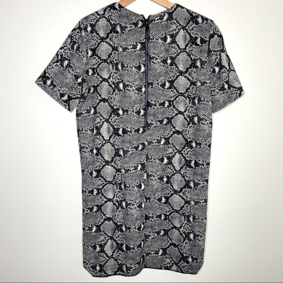 BLOGGER FAVE Zara Snake Print Shift Dress - Picture 5 of 6